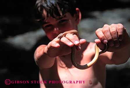 Stock Photo #2011: keywords -  affection animal boy child hold horz reptile show snake touch