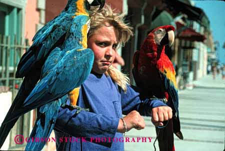 Stock Photo #2013: keywords -  affection animal bird child colorful concern emotion expression girl hold horz not parrots released show touch