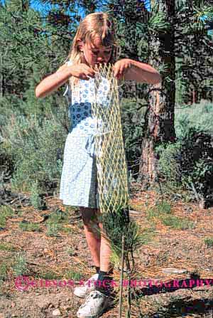 Stock Photo #2063: keywords -  child children class elementary environment forest girl girls grow help pine plant planting project public reforestation released school service students tree trees vert youth