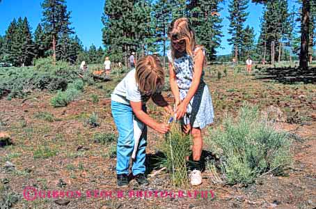 Stock Photo #2064: keywords - child children community girl girls horz kid kids pine planting project projects public reforestation released service tree youth
