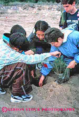Stock Photo #2066: keywords -  boys child children class cooperate elementary environment ethnic forest grow help not pine plant planting project public reforestation released school service students team tree trees vert