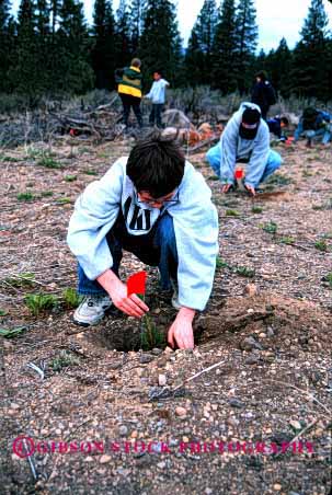 Stock Photo #2067: keywords - biology boy boys california child children class conservation cooperate dirt earth education elementary environment environmental forest grow help hole in kid kids mt not outdoor outdoors outside pair pine plant planting plants project projects public reforestation released school service shasta student students team tree trees two vert youth