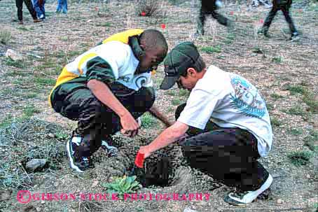 Stock Photo #2069: keywords -  activities activitiy african american black boys california child children coope environment ethnic forest grow horz in kid kids minority mix mixture mt pine plant planting project public reforestation service shasta team tree trees youth