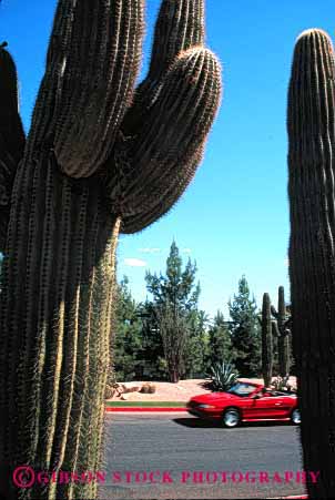 Stock Photo #2167: keywords -  arizona auto cactus car convertible desert drive highway moving road rural saguaro scenic scottsdale street transportation vehicle vert