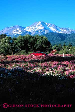 Stock Photo #2174: keywords -  auto california car drive highway interstate mount moving road rural scenic shasta street transportation vehicle vert