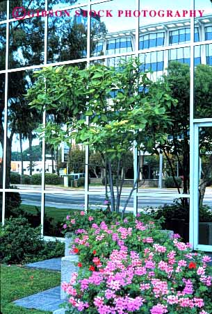 Stock Photo #2188: keywords -  architecture building flower glass grid landscape modern office reflect square vert windo