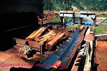 Stock Photo #2260: keywords -  california deck forest horz industry inventory log logging lumber manufacture manufacturing mill natural products renewable resource scotia wood