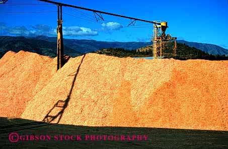 Stock Photo #2261: keywords -  california chips export for forest horz industry inventory logging lumber manufacture manufacturing natural paper pile products pulp renewable resource weed wood