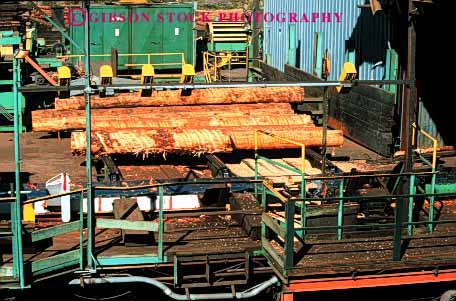 Stock Photo #2263: keywords -  california deck eel forest horz industry inventory log logging lumber manufacture manufacturing mill natural processing products renewable resource river wood