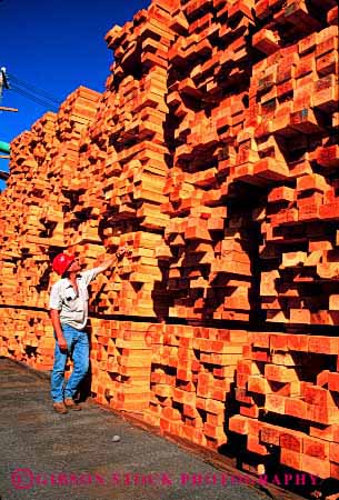 Stock Photo #2264: keywords -  career forest geometric geometry hardhat income industry inspects inventory job logging lumber man manufacture manufacturing mill model natural occupation products rectangle released renewable resource square stack vert vocation wood worker