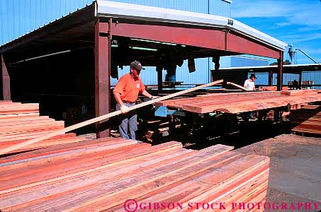 Stock Photo #14579: keywords - board boards california career company horz job jobs labor laborer laboring lumber man men metal mill organize organizes outdoor outside people person redwood roof shed sort sorting sorts stack stacks willits work worker workers working works