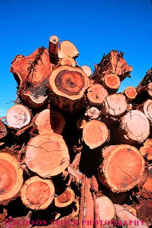 Stock Photo #14581: keywords - california circle circles circular company deck end ends harvest harvested log logging logs lumber mill outdoor outside pattern patterns redwood round stack stacks tree trees vert willits