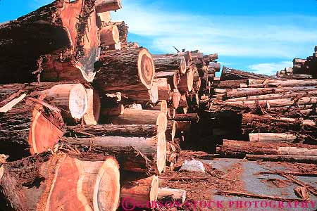 Stock Photo #13794: keywords -  california cut deck harvest harvested horz industrial industry logging logs lumber mill pile redwood stack tree trees wood yard