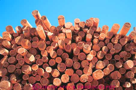 Stock Photo #13797: keywords -  cedar circle circles circular cut harvest harvested horz log logging logs lumber michigan pile piles round rounded stack stacks symmetry tree trees wood yard