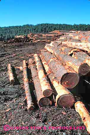 Stock Photo #2295: keywords -  forest forestry harvest idaho industry inventory log logging logs lumber mill mills natural pile piled piles renewable resource round stack stacks vert wood