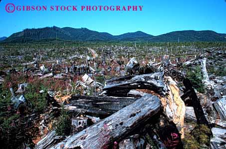 Stock Photo #2299: keywords -  clear cut destroy disrupt  ecology forest forestry harvest horz industry log logging lumber natural over renewable resource tree washington waste wood