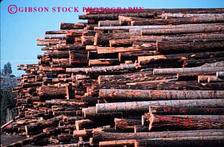 Stock Photo #2300: keywords -  forest forestry harvest horz industry inventory log logging lumber mill natural renewable resource stack storage wood