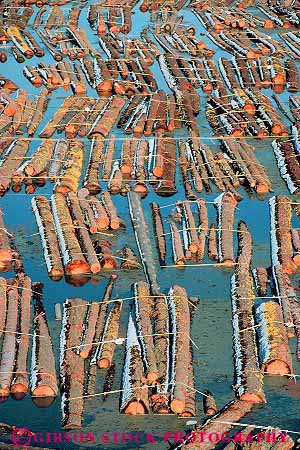 Stock Photo #13802: keywords -  cut float floating floats harvest harvested industrial industry inventory klamath log logging logs lumber mill oregon pile river rivers stack tree trees vert water wood yard