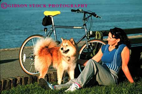 Stock Photo #2342: keywords -  alone athlete bicycle dog female horz outdoor pet private relax released rest summer woman