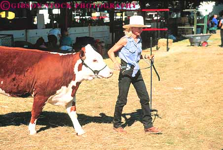 Stock Photo #13885: keywords -  animal animals annual california care cares caring cattle clean cow cows event events fair fairs festival festivals fur girl golden handle handler handles handling horz lead leads livestock move moves moving older pet show siskiyou summer teenage teenager teenagers teens walk walking walks woman young youth yreka