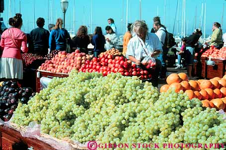Stock Photo #13688: keywords -  business california cities city crop crops downtown farm farmers food francisco fruit fruits grapes horz malls market markets outdoor outside pier plaza plazas produce san sell seller sellers selling sells small stand stands temporary tomato tomatos urban vegetable vegetables vendor vendors