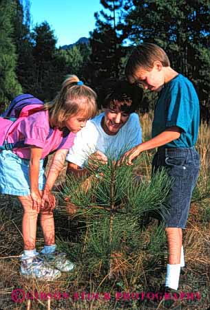 Stock Photo #2472: keywords - boy brother child children daughter education family female girl help mother nature parent released single sister son study summer teach together tree vert wife woman
