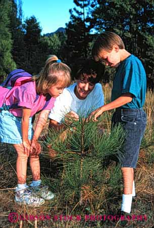 Stock Photo #2472: keywords -  boy brother child children daughter education family female girl help mother nature parent released single sister son study summer teach together tree vert wife woman