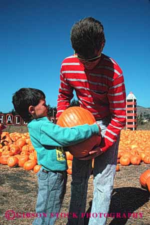 Stock Photo #2503: keywords - assist autumn big boy child dad father halloween heavy help outdoor parent pumpkin released select single son team together vert