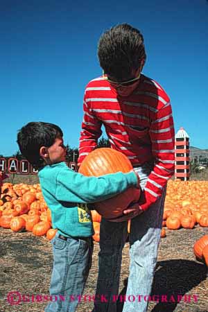 Stock Photo #2503: keywords -  assist autumn big boy child dad father halloween heavy help outdoor parent pumpkin released select single son team together vert