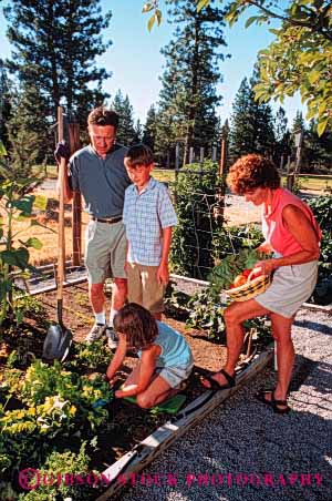 Stock Photo #2544: keywords -  child children family father food garden gardening grow harvest home mother parent produce recreation released summer together vegetable vert