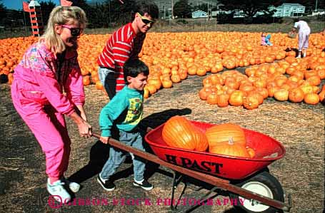 Stock Photo #2571: keywords - assist autumn barrow child cooperate fall family halloween help horz house outside picking pumpkin released share son together wheel