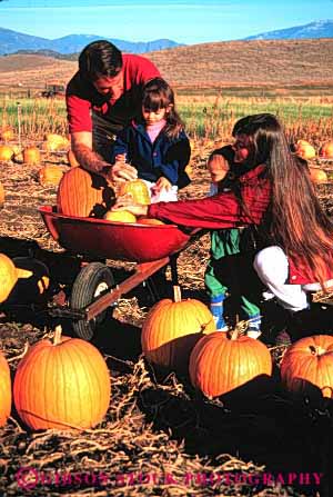 Stock Photo #2573: keywords -  autumn barrow children fall family halloween outside parent pick pumpkin released share together vert wheel