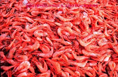 Stock Photo #2651: keywords -  catch countless crustacean display fresh horz many retail seafood sell shrimp