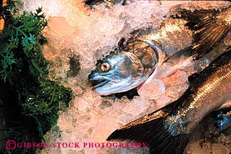 Stock Photo #2652: keywords -  display fish fresh horz in market retail salmon seafood sell