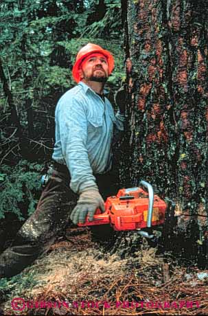 Stock Photo #3480: keywords - business busy california career commerce craft cutting dangerous duty earn educated employ employee employment environment forest harvest job labor log logger loggers logging man management mount occupactions occupation outdoor paid pay paycheck payroll professional renewable resource safety shasta strong task technical timber trade trained tree vert vocation wood work worker