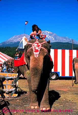Stock Photo #2779: keywords -  and animal barnes big california captivity carstens child children circus elephant fun mount ride shasta vert work