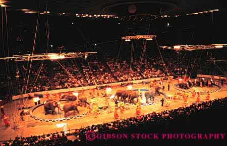 Stock Photo #2781: keywords -  brothers california circus coordination elephants horz oakland perform ring ringling show teamwork three