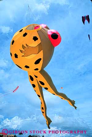 Stock Photo #6117: keywords - aerodynamic aerodynamics air animal color colorful design drift drifting flight float floating fly flying frog hang kite lighter miami sky tether tethered than vert weightless wind