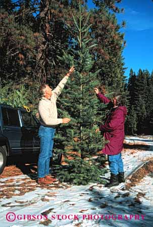 Stock Photo #2882: keywords -  active christmas couple cut elderly exercise fitness grandparent health holiday husband mature recreation released senior share snow sport team together tree vert wife winter workout