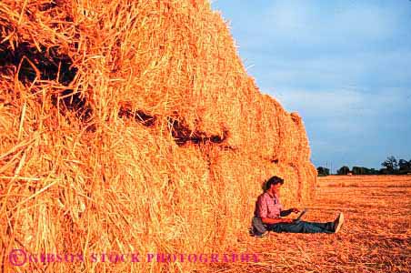 Stock Photo #2943: keywords - agriculture alone bale battery business casual compute computer computers concentrate data equipment farm farmer field horz in laptop man outdoor outside peaceful people person portable powered process quiet relax released remote solitude straw technology using