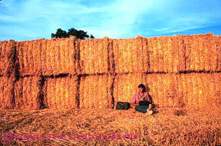 Stock Photo #2944: keywords -  agriculture alone bale battery business casual compute computer computers concentrate data equipment farm farmer field horz in laptop man outdoor outside peaceful people person portable powered process quiet relax released remote solitude straw technology using