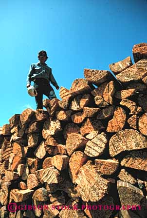 Stock Photo #3067: keywords - burn combust energy firewood fuel heat man pile source split tree vert wood