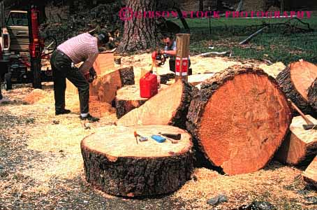 Stock Photo #3068: keywords - burn combust energy firewood fuel heat horz job labor men pine resource rounds source split team tree wood work