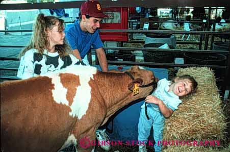 Stock Photo #3168: keywords - activity amusement animal annual attraction california child children cow cows event fair families family festival fun horz kid kids laugh laughing laughs livestock park parks play playing public sacramento show state summer