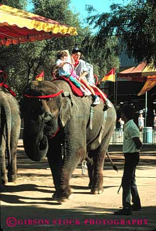 Stock Photo #3169: keywords -  activity amusement animal annual attraction big california child children elepahnts elephant event fair families family festival fun kid kids park parks people person play public ride rider riders rides sacramento state summer vert