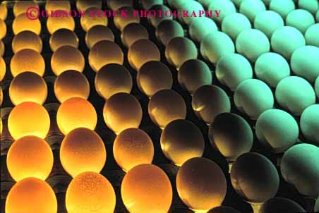 Stock Photo #3183: keywords -  agriculture countless egg factory farm fragile horz many numerous oval pattern poultry process produce round translucent transparent