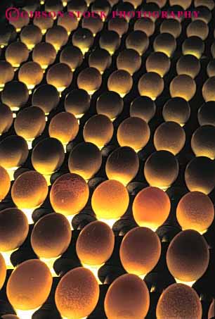 Stock Photo #3186: keywords - agriculture countless egg factory farm fragile many numerous oval pattern poultry process produce round translucent transparent vert