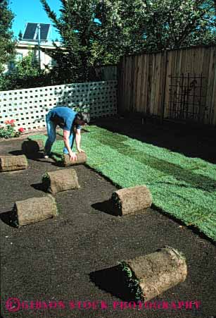 Stock Photo #4064: keywords -  accomplish backyard build decorate design garden gardening grass green home house improvement labor landscape lawn lay man outdoor released sod vert work yard