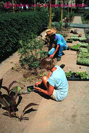 Stock Photo #4068: keywords - architecture building crew cut employee flowers garden gardeners gardening grass green groom in job jobs labor landscape landscaping lawn maintenance man office outdoor outside people person plant planting plants season spring summer team trim vert woman work worker workers working yard