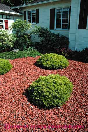 Stock Photo #4077: keywords -  conservation demand drought dry garden home house landscape low residence tolerant vert water